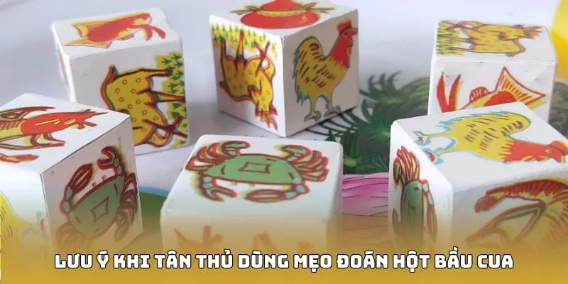 Lưu ý khi tân thủ dùng mẹo đoán hột bầu cua
