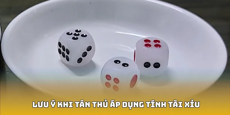 Lưu ý khi tân thủ áp dụng tính tài xỉu