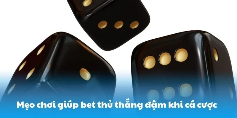 Mẹo chơi giúp bet thủ thắng đậm khi cá cược