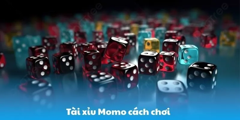 Tài Xỉu Momo Cách Chơi Thắng Đậm, Vào Bờ An Toàn 2025