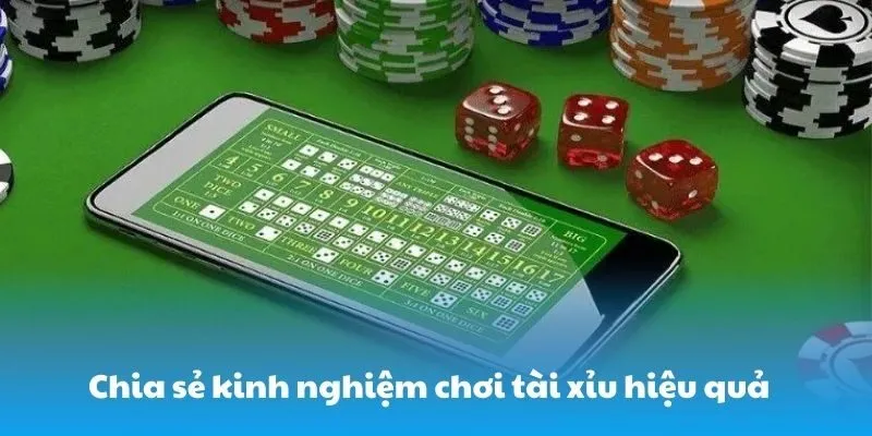 Chia sẻ kinh nghiệm đặt cược tài xỉu hiệu quả