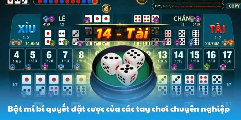 Bật mí bí quyết đặt cược của các tay chơi chuyên nghiệp